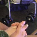 펫츠나라 동물병원 | 내돈내산 솔직후기!! ANYOU 펫츠놀로지 반려동물 유모차(강아지,고양이 유모차)