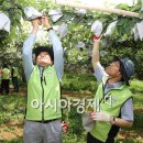 김종문농장 아시아경제