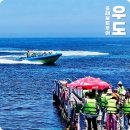 170 | 우도 보트 올레보트 가격 시간 관광 코스 제주 우도 여행 후기