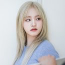 마인리즈 이미지