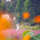 청산사슴농원 | 충남 가볼만한곳 충남 여행지를 모아 소개합니다.