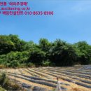 무등리 경로당 네이버블로그