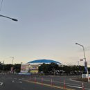 제주감귤농업협동조합위미지점 | 2025 제주 국제 감귤 마라톤 10km 후기