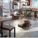 너와함개냥 이미지