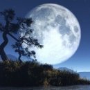 흥덕안경마을 이미지