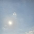 시장이반찬이다 이미지