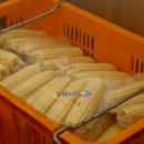 삼방산길 이미지