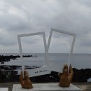 넙빌레스토리