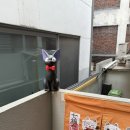 키키노히호 성수점