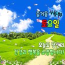 건강과 행복 Daum카페