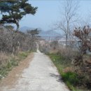 옥도면 장자도리 이미지