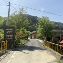 매화골향기 이미지