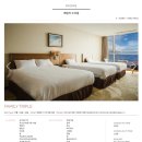 (주)탐라콘도 | 2박 3일 가을 제주도 여행 준비 : 항공권 예약 팁, 숙소 예약, 여행 코스 짜기