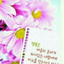 본어게인점핑다이어트 이미지