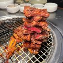 청기와 화장실 이미지