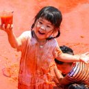 달성토마토축제 네이버블로그