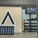 our fitness | 싱가포르 | Anarchy Fitness 크로스핏 드랍인 후기 &amp; 가격 정보🏋🏻‍♀️