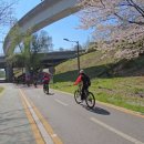 다현뷔페 이미지