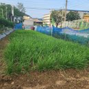 지삼로17번길 이미지