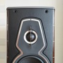 과르네리 이미지