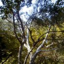 백송가든 이미지