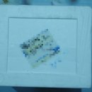 로하스팜 | 냉동 군고구마 아이간식 식사대용 식단 추천 로하스팜 냉동군고구마 2.5kg 리뷰