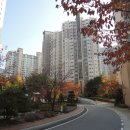 동백7로 이미지