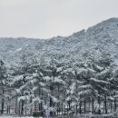 진도여행1박2일 울엄마가 대만족했던 여행