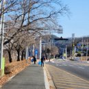 강남동 주민센터1 이미지