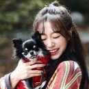 스타펫 이미지