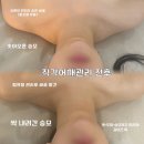 몽프로디