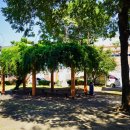 웅진동주민센터 옆 공원 이미지