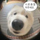 이알티