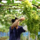 고덕면011 이미지