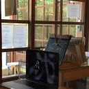 아이폰6 사진 색감 작례ㅣ일본 직구 구매 후기
