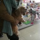 민병철동물병원 이미지