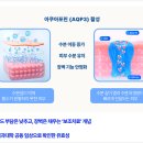 A0177 네이버블로그