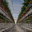 별마을농장 이미지