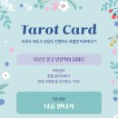 타로-나에게 묻고 나에게 답하다 이미지