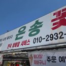 건농장 | 대전 꽃집 화분 은송꽃농장 송강꽃집테크노점 방문후기