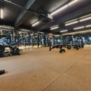 바디 컨피던스 이미지