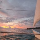 여행치킨 이미지