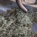 현태농장 이미지