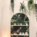 풀빛스튜디오