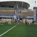 민속운동장 이미지