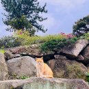 어시장길 24-5 이미지