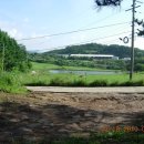 관흥목장 이미지