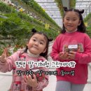 오성그린농장 이미지