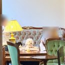 카페조기나루2 | 잠실 송파나루역 카페 [코히루] :: 앤틱한 분위기에 말차푸딩 내돈내산 찐 솔직후기🍮🌿