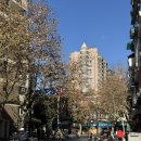 (유)은주자동차서비스 | 🇨🇳 중국 상해여행 ❷ / 상해자연박물관, 하이디라오, 디즈니랜드